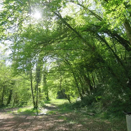 Petit Est Eco *